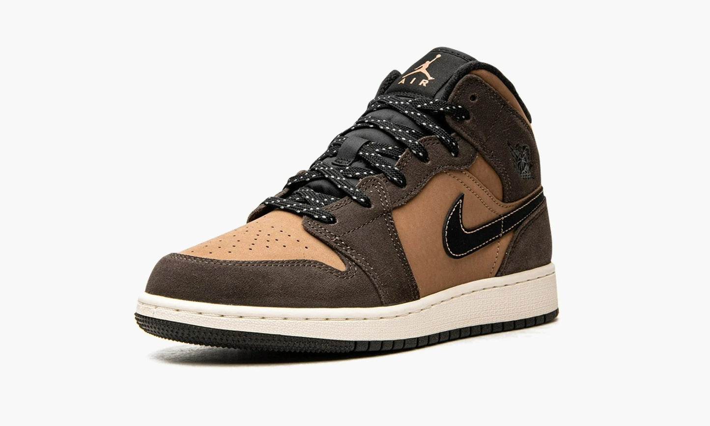 Air Jordan 1 Mid SE GS Earth Tone - DC7248 200 | The Sortage