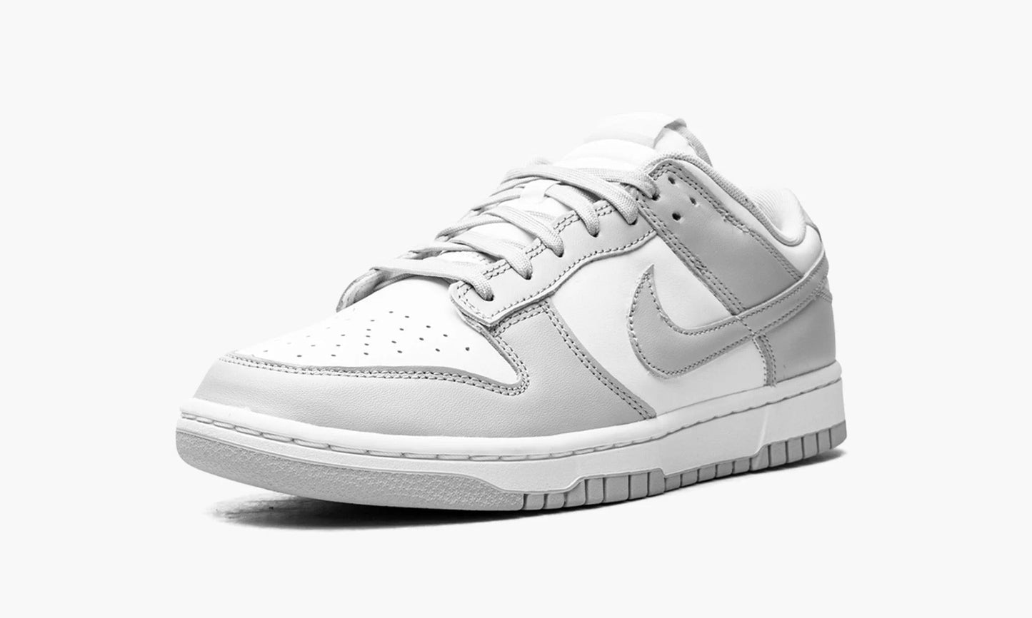 Nike Dunk Low Grey Fog - DD1391 103 | The Sortage
