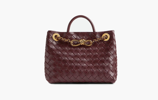 Bottega Veneta Small Andiamo Chain Madder Brown | The Sortage