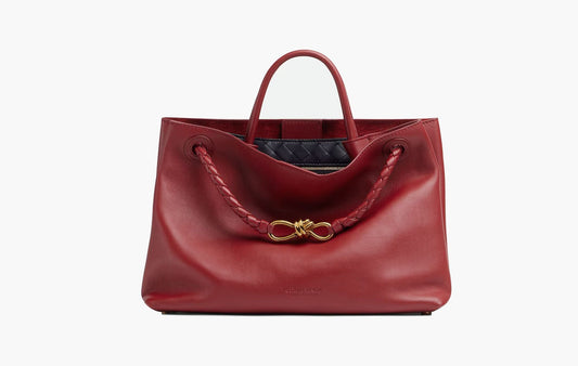Bottega Veneta Andiamo Medium Top Handle Bag Rosewood | The Sortage