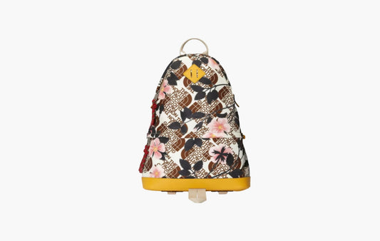 Gucci x The North Face Medium Backpack "Brown Multi"