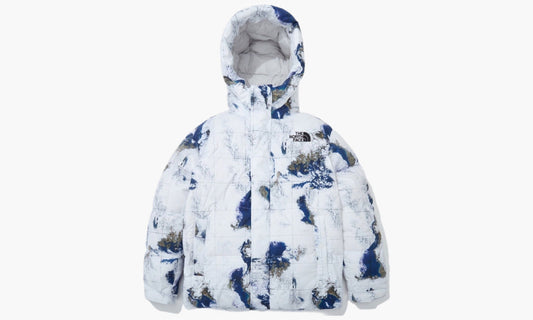 The North Face White Label Novelty Free Move Down Jacket | The Sortage