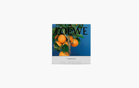 Loewe Small Orange Blossom Candle Bright Mandarin | The Sortage