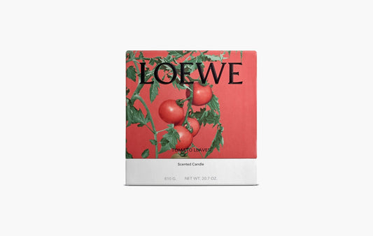 Loewe Medium Tomato Leaves Candle Red | The Sortage