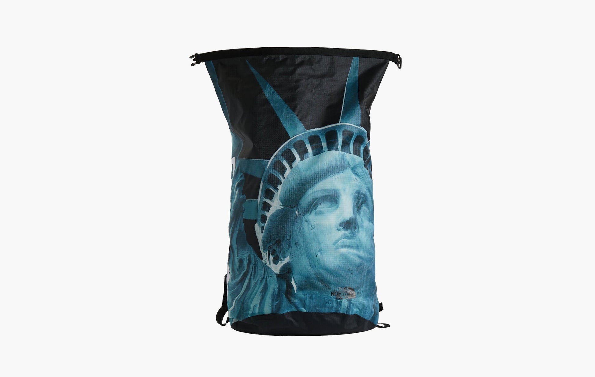 Supreme The North Face Statue of Liberty Waterproof Backpack Black | The Sortage