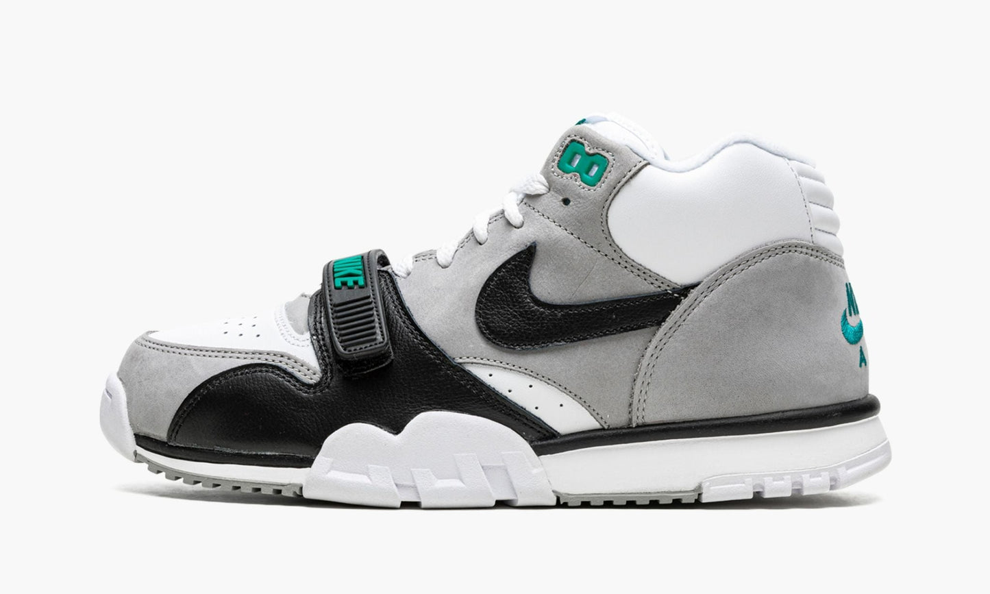 Air Trainer 1 Chlorophyll 2022 - DM0521 100 | The Sortage
