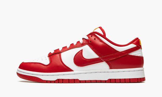 Dunk Low USC - DD1391 602 | The Sortage