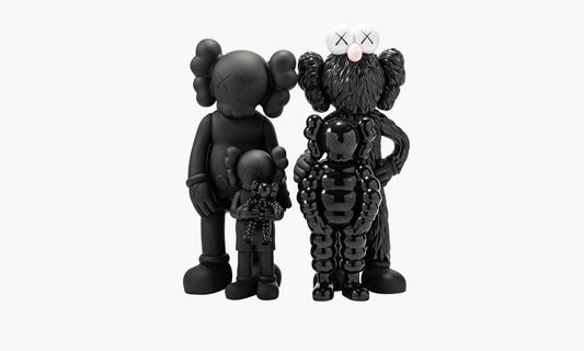 KAWS Family Vinyl Figures Black - KAWS066 | The Sortage